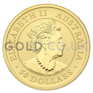 Gold Nugget Half Ounce (2019)