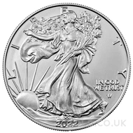 1oz American Eagle Silver Coin (2022)