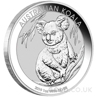 Silver Koala