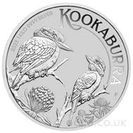 Silver Kookaburra 1kg (2023)