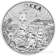 Silver Quokka