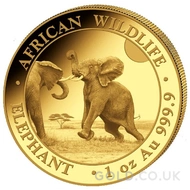 2024 Gold Somalian African Wildlife Elephant 1oz Coin