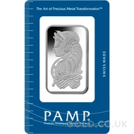 100g Platinum Bar