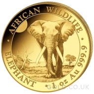 2026 Gold Somalian African Wildlife Elephant 1oz Coin