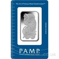 100g Platinum Bar
