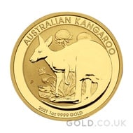 Gold Nugget 1oz (2021)