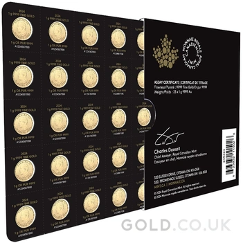 2024 MapleGram 25 x 1g Gold Coins