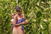 Flavour of the month? Vanilla is now more expensive than Silver