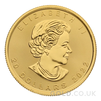 2022 1/2oz Canadian Maple Leaf Gold Coin
