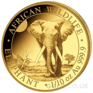 2026 1/10oz Gold Somalian African Wildlife Elephant Coin