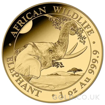2023 1oz African Wildlife Elephant Gold Coin
