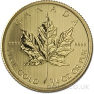 Gold Quarter Maple (Best Value)