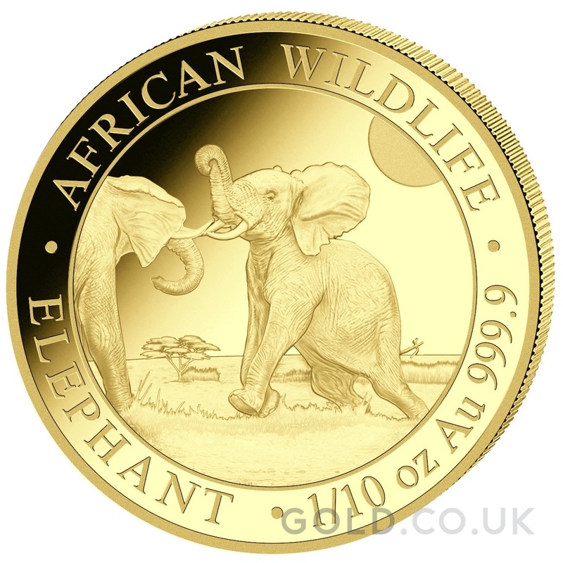 2024 1/10oz African Wildlife Elephant Gold Coin