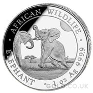 Somalian Elephant 1 Ounce Silver Coin (2024)