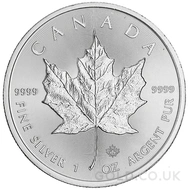 Silver Maples