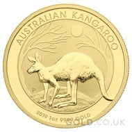 Gold Nugget 1oz (2019)