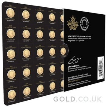 2025 MapleGram 25 x 1g Gold Coins