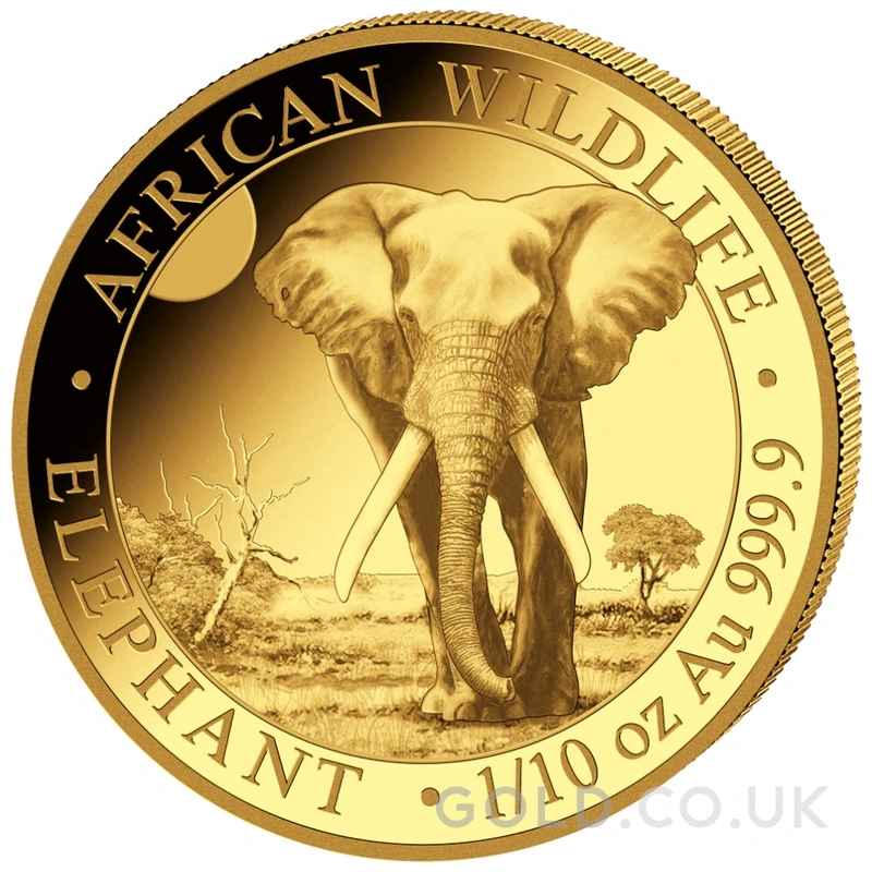 2026 1/10oz African Wildlife Elephant Gold Coin