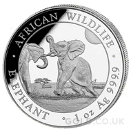 Somalian Elephant 1 Ounce Silver Coin (2024)