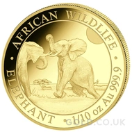 2024 1/10oz Gold Somalian African Wildlife Elephant Coin