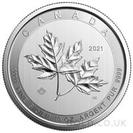 10oz Canadian Magnificent Maple Silver Coin (2021)